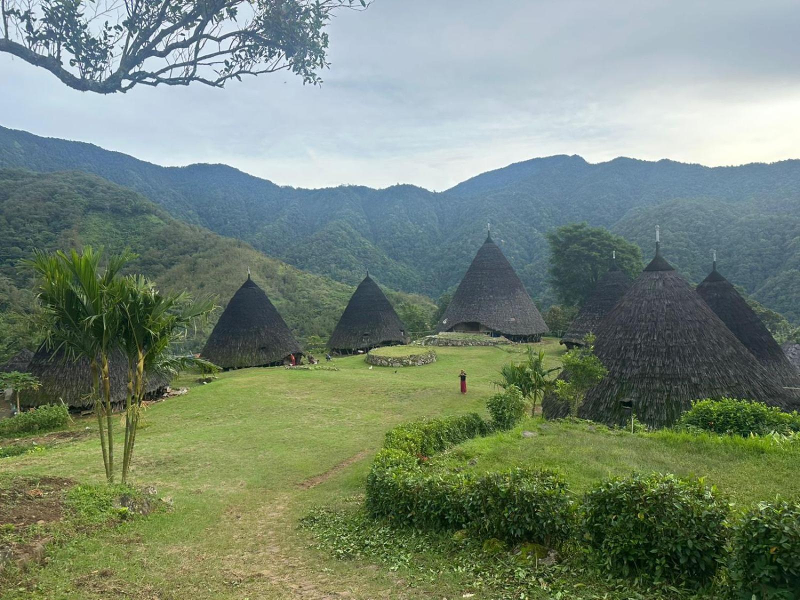 D'Flora Homestay Labuan Bajo Zewnętrze zdjęcie