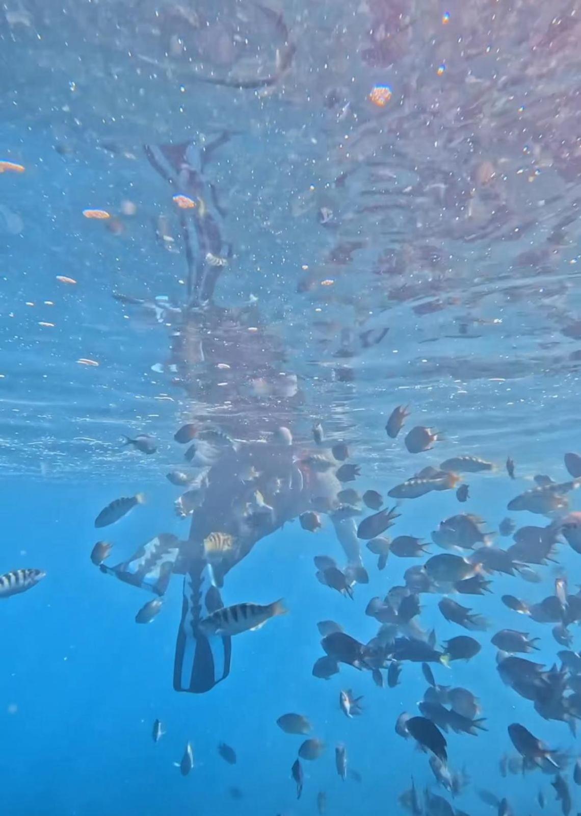 D'Flora Homestay Labuan Bajo Zewnętrze zdjęcie