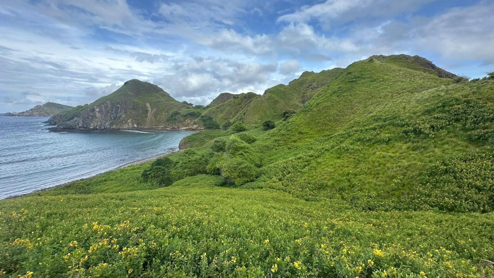 D'Flora Homestay Labuan Bajo Zewnętrze zdjęcie