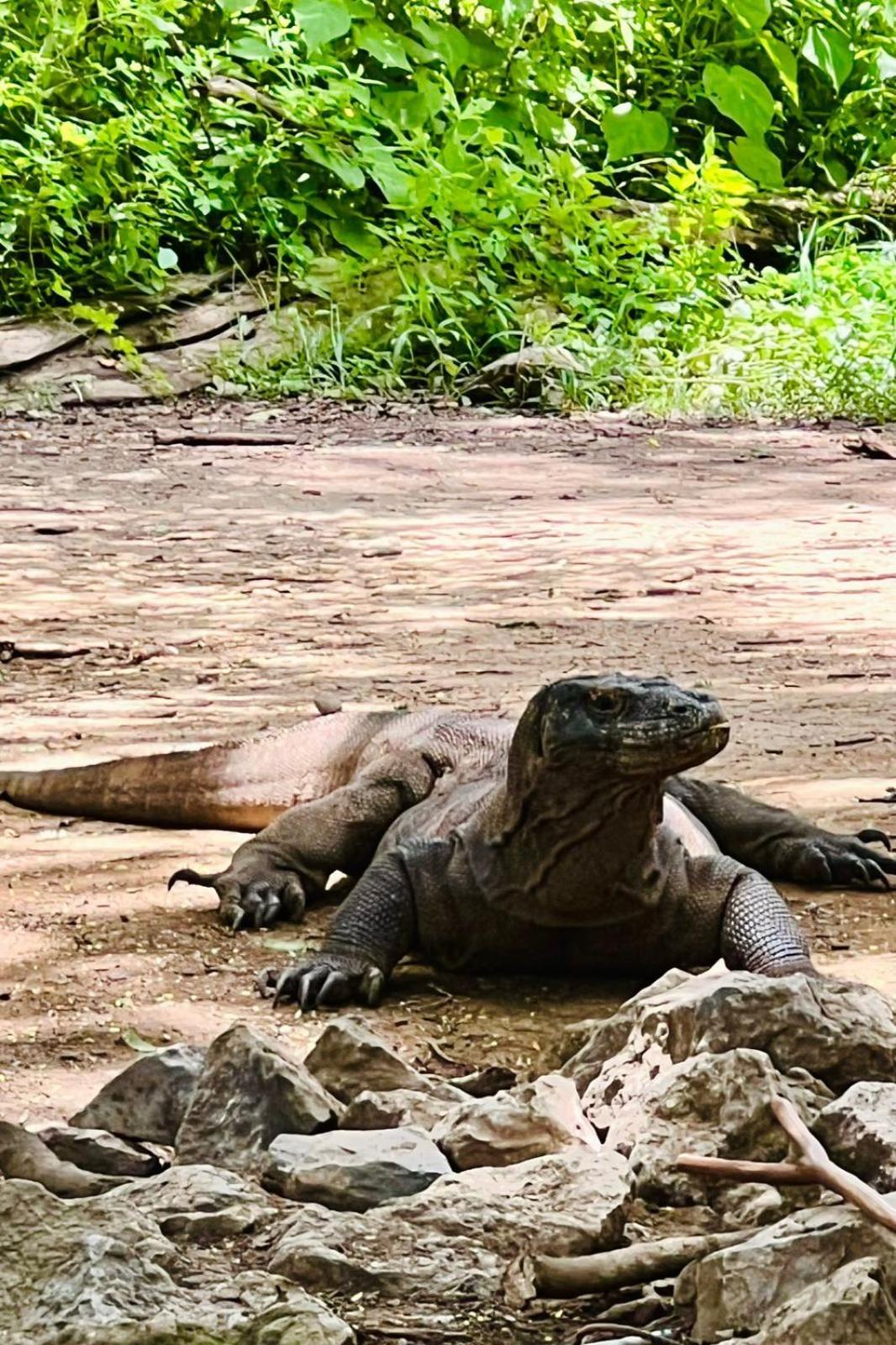 D'Flora Homestay Labuan Bajo Zewnętrze zdjęcie