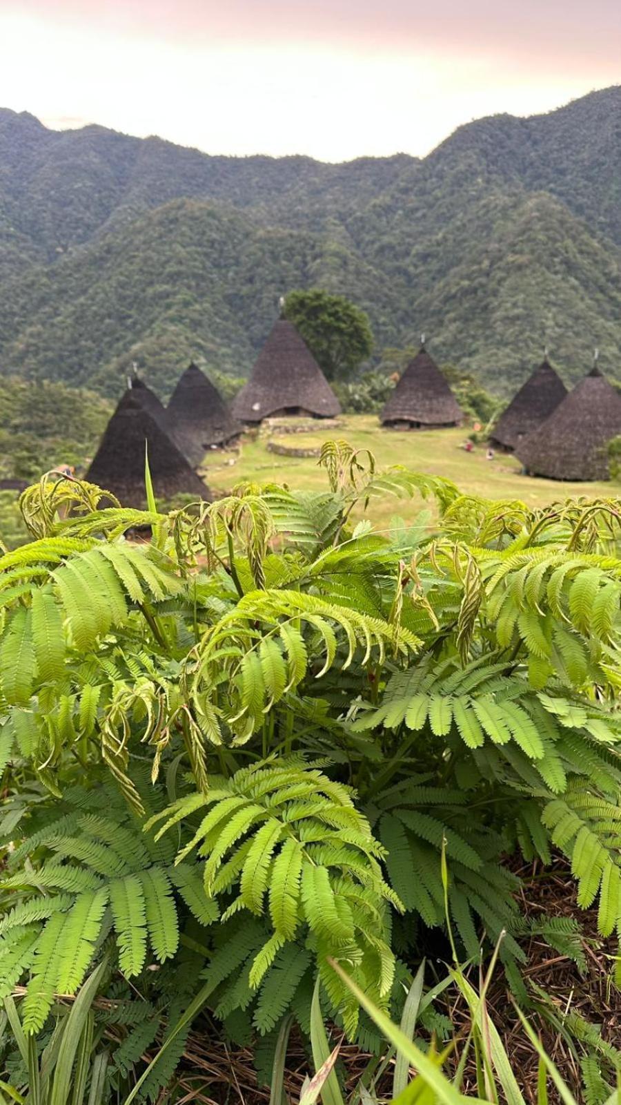 D'Flora Homestay Labuan Bajo Zewnętrze zdjęcie